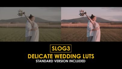 Постер набора Нежные свадебные LUT под Slog3 Delicate Wedding