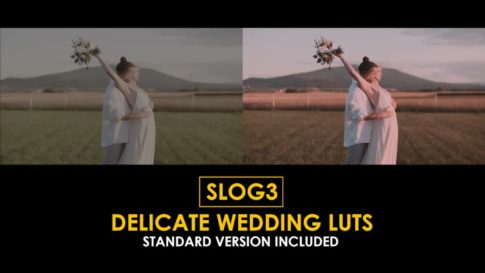 Постер набора Нежные свадебные LUT под Slog3 Delicate Wedding