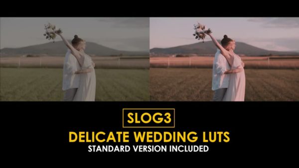 Постер набора Нежные свадебные LUT под Slog3 Delicate Wedding