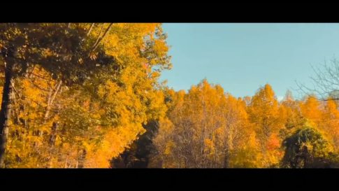 Пример работы LUT из набора Осенние film-look LUT для видео Autumn Film