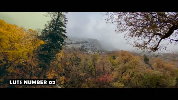 Кадр видео после цветокоррекции LUT для осень вариант 2