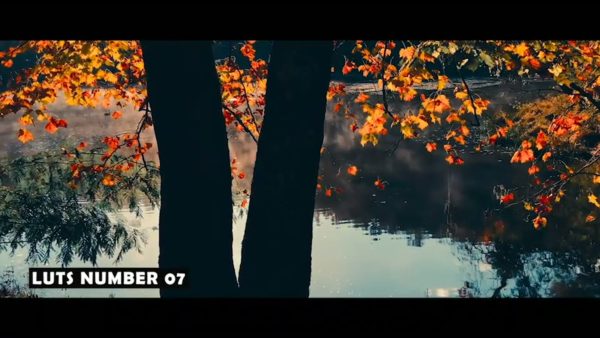 Кадр видео после цветокоррекции LUT для осень вариант 8