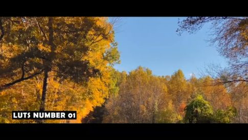 Постер набора Осенние film-look LUT для видео Autumn Film