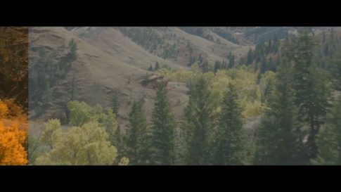 Постер набора Осенние кино-LUT для видео Cinematic Autumn