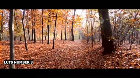 Кадр видео после цветокоррекции LUT для осень вариант 2