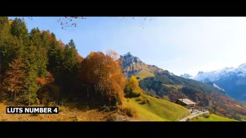Кадр видео после цветокоррекции LUT для осень вариант 3