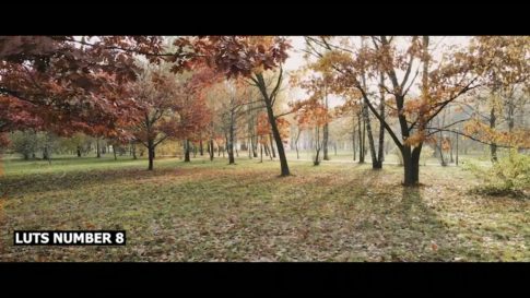 Кадр видео после цветокоррекции LUT для осень вариант 7