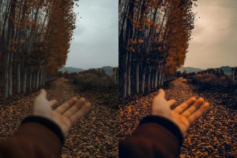 Пример обработки фото пресетом Cinematic Autumn Fall в Lightroom, кадр 3