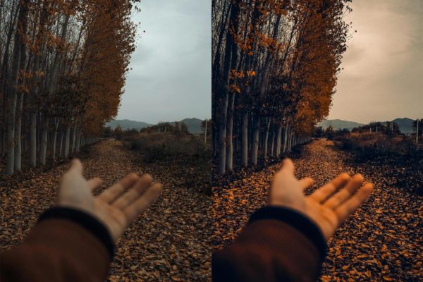 Пример обработки фото пресетом Cinematic Autumn Fall в Lightroom, кадр 3