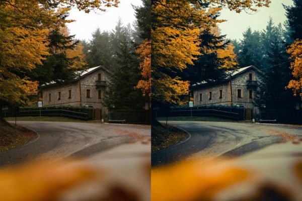 Пример обработки фото пресетом Cinematic Autumn Fall в Lightroom, кадр 8