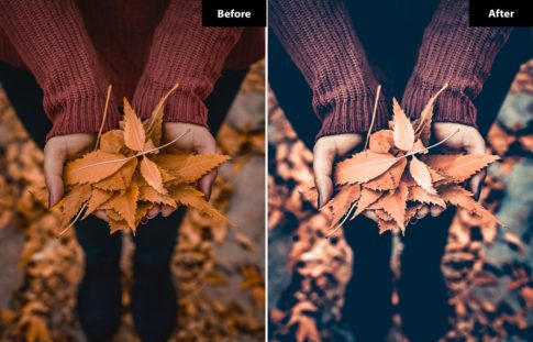 Пример обработки фото пресетом Autumn Film | в Lightroom, кадр 5