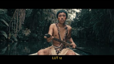 Кадр видео после цветокоррекции LUT для плёнка вариант 7