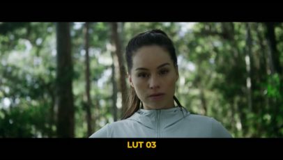 Пример работы LUT из набора Плёночные тональные LUT для видео Pro Film Tones