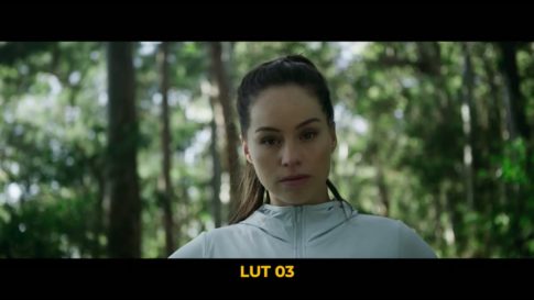 Пример работы LUT из набора Плёночные тональные LUT для видео Pro Film Tones