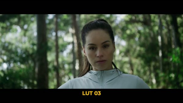 Пример работы LUT из набора Плёночные тональные LUT для видео Pro Film Tones