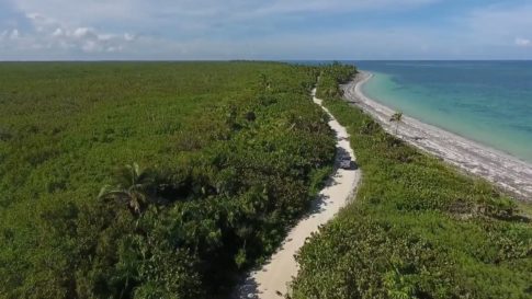 Пример работы LUT из набора Пляжные LUT для морского видео Beach Grade