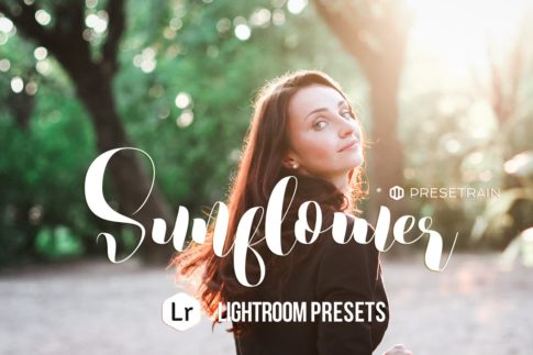 Обложка набора пресетов Sunflower для Lightroom