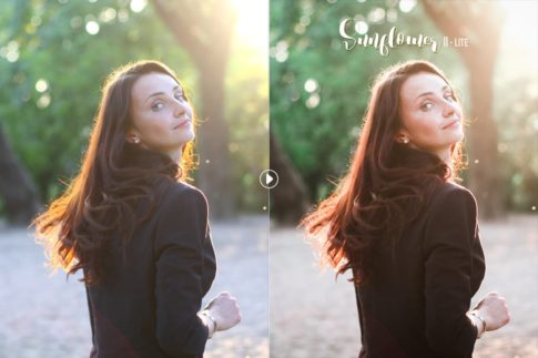 Пример обработки фото пресетом Sunflower в Lightroom, кадр 1