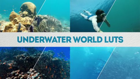 Постер набора Подводные LUT для видео Underwater World