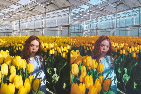 Пример обработки фото пресетом Morefold Portrait Tone в Lightroom, кадр 2