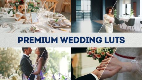 Постер набора Премиальные свадебные LUT для видео Premium Wedding