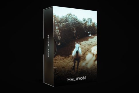 Пример обработки фото пресетом HALKYON в Lightroom, кадр 1