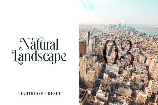 Обложка набора пресетов Natural Landscape No.03 для Lightroom