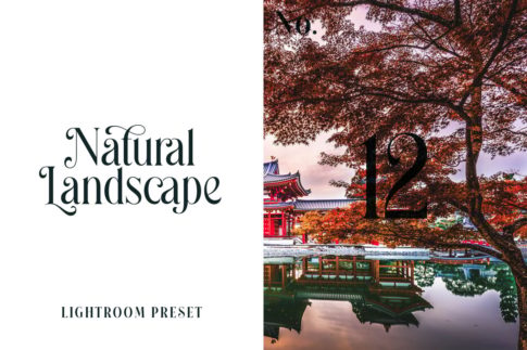 Обложка набора пресетов Natural Landscape No.12 для Lightroom