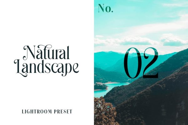 Обложка набора пресетов Natural Landscape No.02 для Lightroom