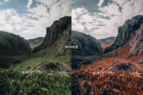 Пример обработки фото пресетом Natura в Lightroom, кадр 3