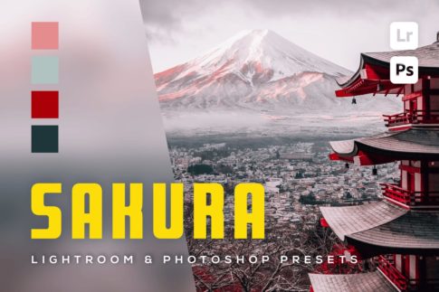 Обложка набора пресетов 6 Sakura Lightroom and Photoshop Presets для Lightroom