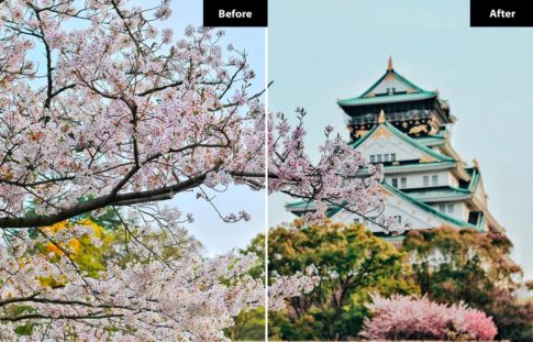 Пример обработки фото пресетом 6 Sakura Lightroom and Photoshop Presets в Lightroom, кадр 5