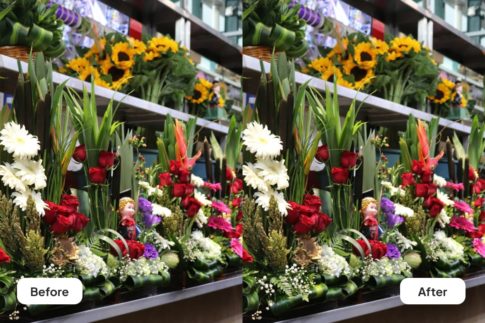 Пример обработки фото пресетом Flowers & Decor в Lightroom, кадр 3
