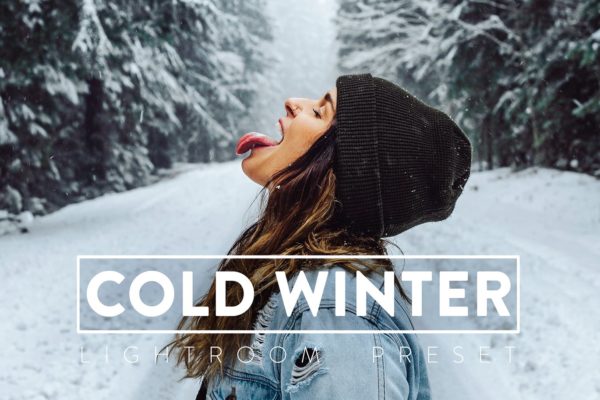 Обложка набора пресеты для морозных зимних прогулок