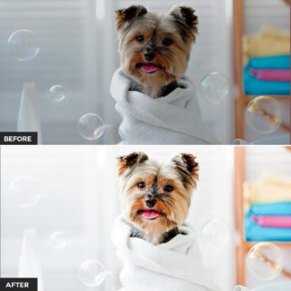 Пример обработки фото пресетом Pet в Lightroom, кадр 8