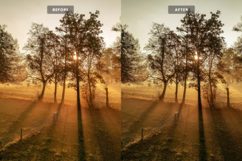 Фотография с цветокоррекцией из набора пресеты для туманного утра и осеннего леса