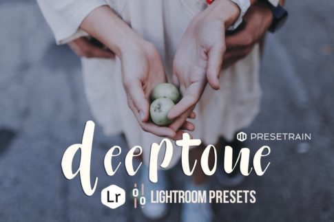 Обложка набора пресетов Deeptone для Lightroom