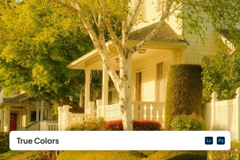 Обложка набора пресетов True Colors для Lightroom