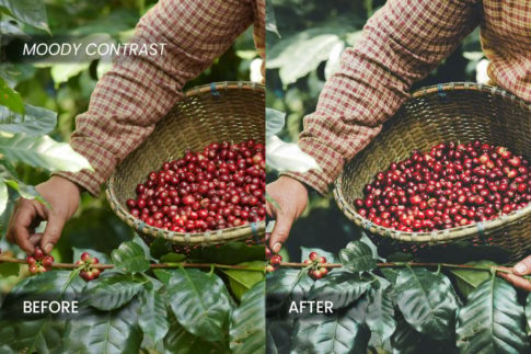Пример обработки фото пресетом Coffee Industry в Lightroom, кадр 1