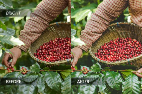 Пример обработки фото пресетом Coffee Industry в Lightroom, кадр 2