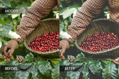 Пример обработки фото пресетом Coffee Industry в Lightroom, кадр 3