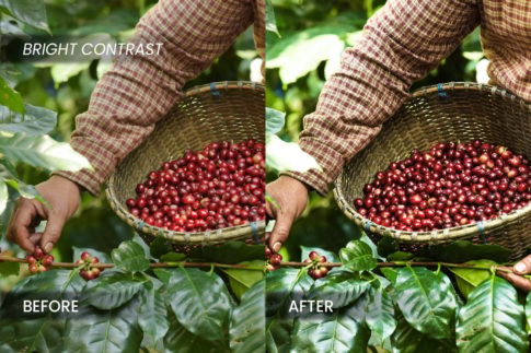 Пример обработки фото пресетом Coffee Industry в Lightroom, кадр 5