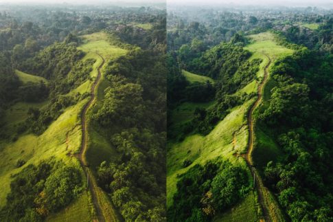 Пример обработки фото пресетом Balinfornia Nature of Bali в Lightroom, кадр 2