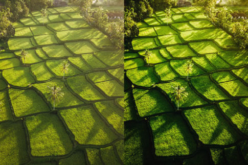 Пример обработки фото пресетом Balinfornia Nature of Bali в Lightroom, кадр 3