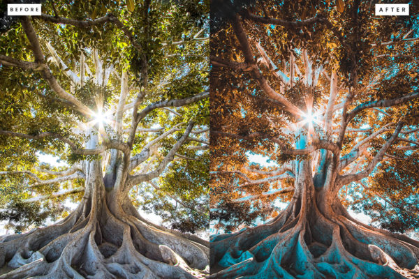 Пример обработки фото пресетом Realistic Rays в Lightroom, кадр 1