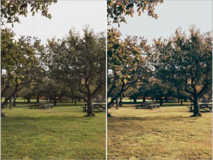 Пример обработки фото пресетом Morning Walk в Lightroom, кадр 6
