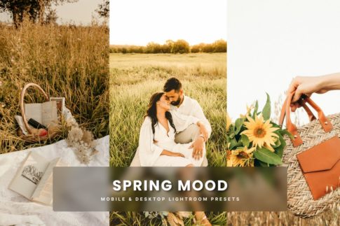 Обложка набора пресетов Spring Mood для Lightroom