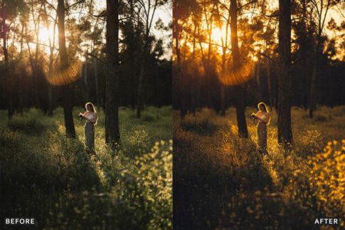 Пример обработки фото пресетом Cinematic Golden Sunset Hour в Lightroom, кадр 4