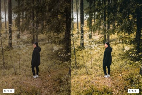 Демонстрация обработки фото из путешествий профилем из набора приглушённая зелень для тревела пресеты