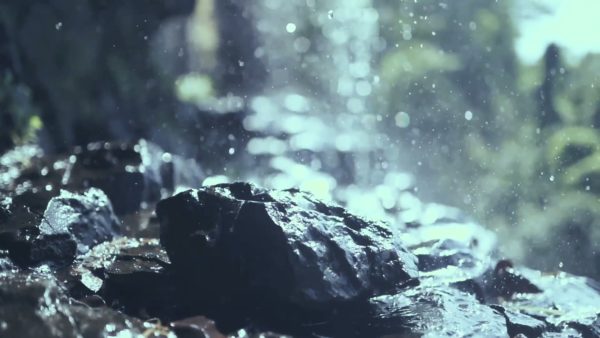 Кадр видео после цветокоррекции LUT для природа вариант 8